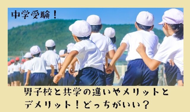 中学受験！男子校と共学の違いやメリットとデメリット！どっちがいい？